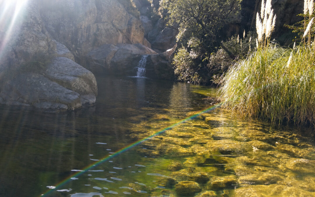 Trekking Laguna de las Uvas