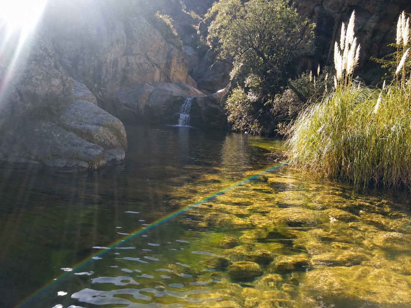 Trekking Laguna de las Uvas